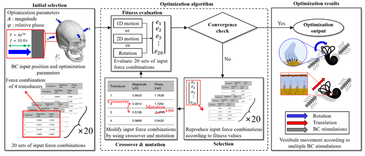 Vestibular motion generation and stimulus-input algorithm