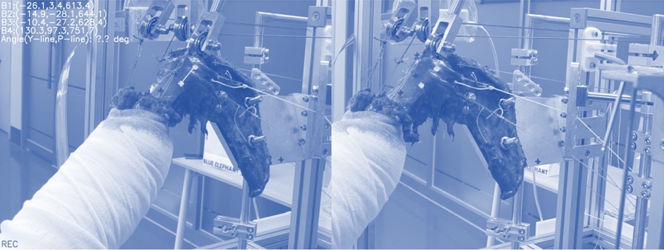 Test rig and rotator-cuff surgery verification