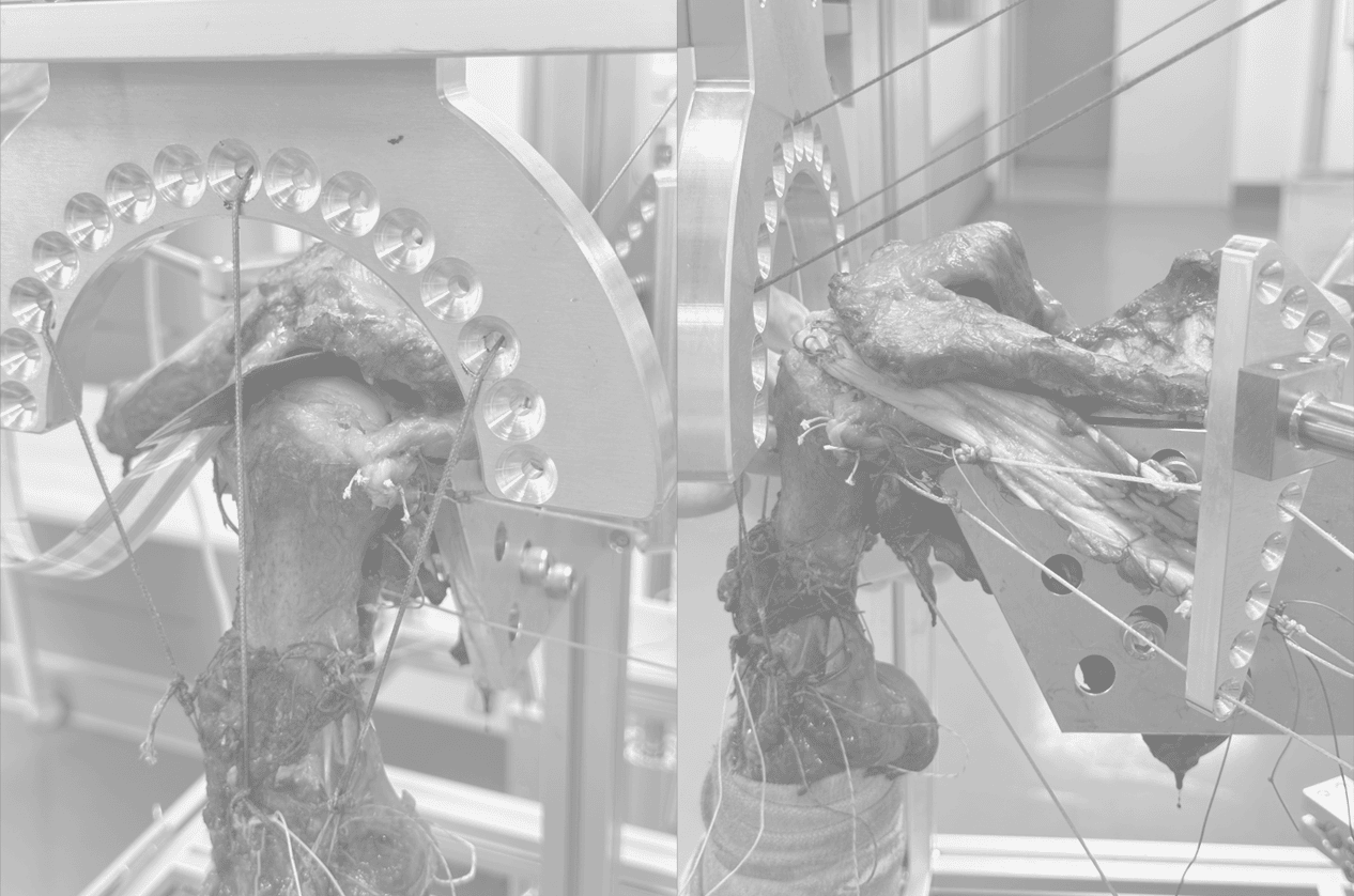 Test rig and rotator-cuff surgery verification
